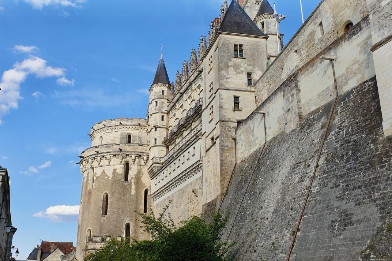 Splendid Apartment At The Foot Of The Castle Of Amboise - View Of The Loir Esterno foto